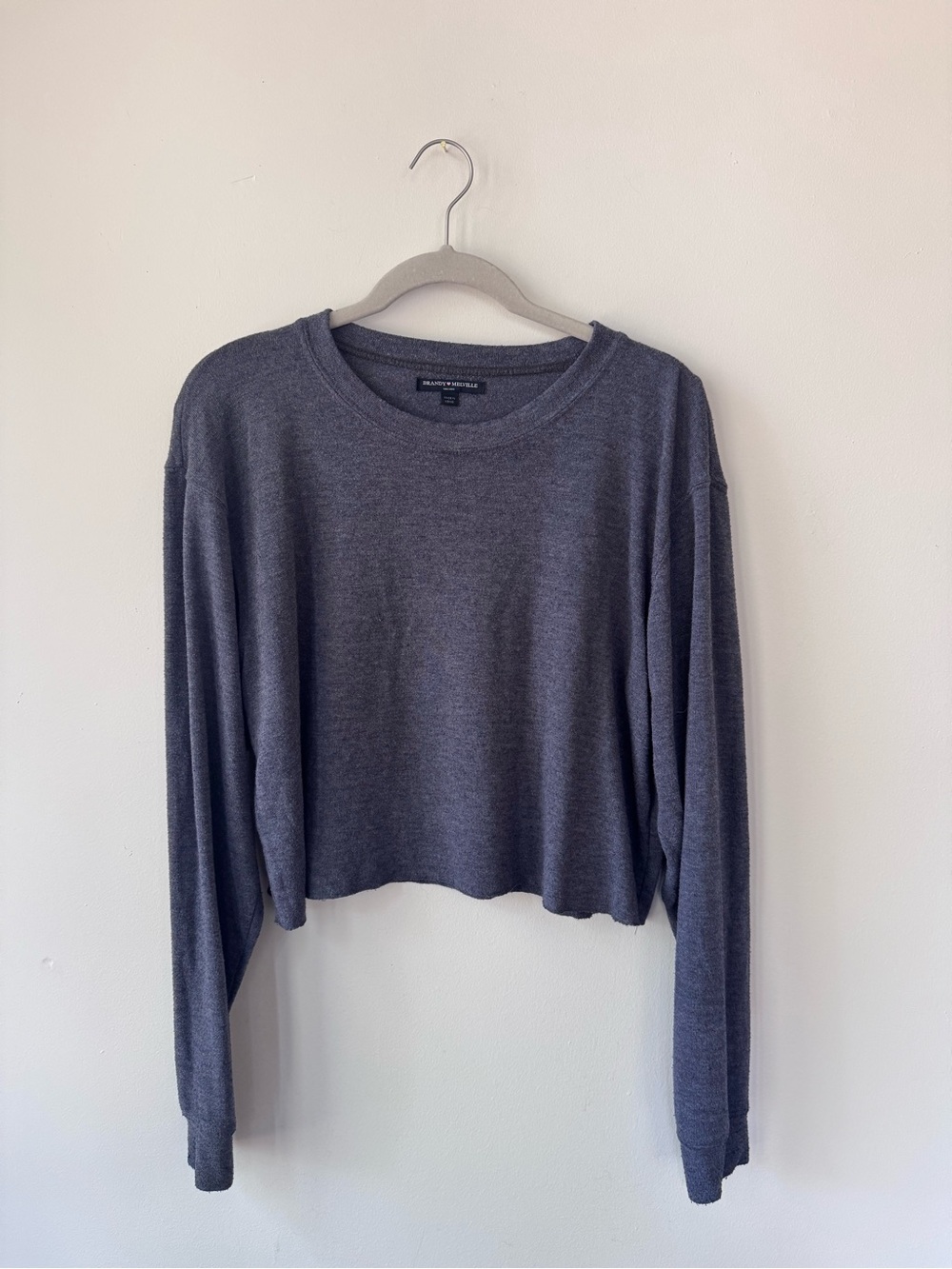 Brandy Melville cropped crewneck tee in blue/grey